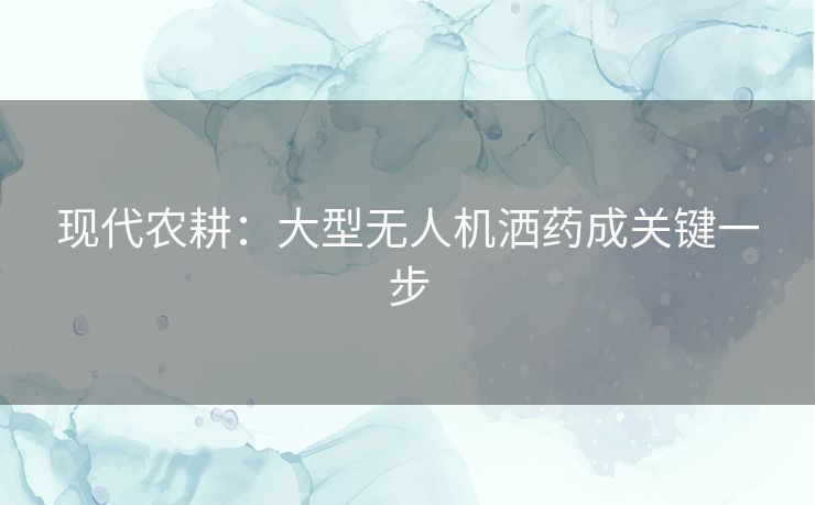 现代农耕：大型无人机洒药成关键一步