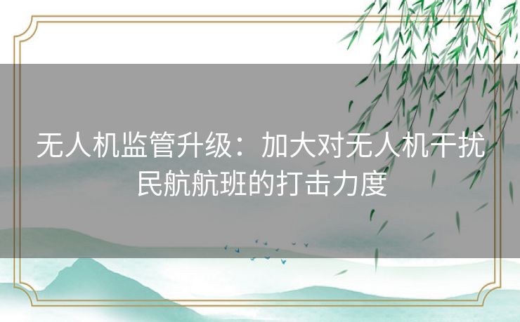 无人机监管升级：加大对无人机干扰民航航班的打击力度