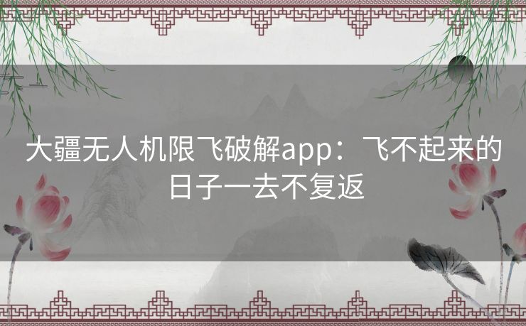 大疆无人机限飞破解app：飞不起来的日子一去不复返