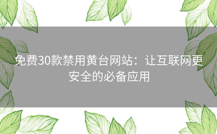 免费30款禁用黄台网站：让互联网更安全的必备应用