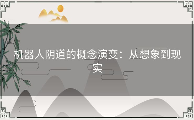 机器人阴道的概念演变：从想象到现实