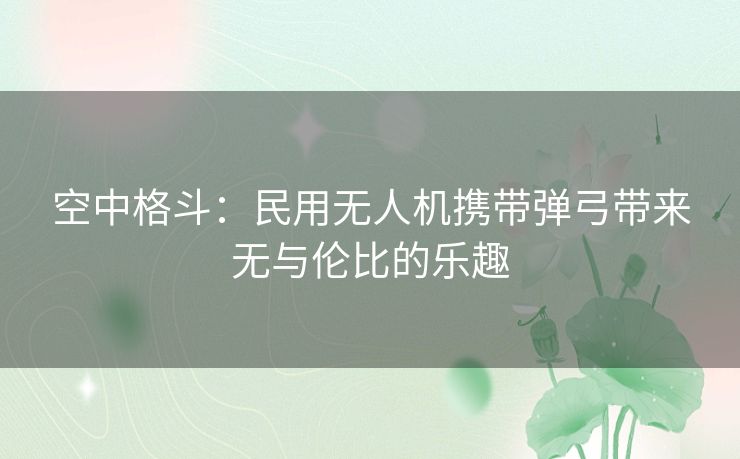 空中格斗：民用无人机携带弹弓带来无与伦比的乐趣