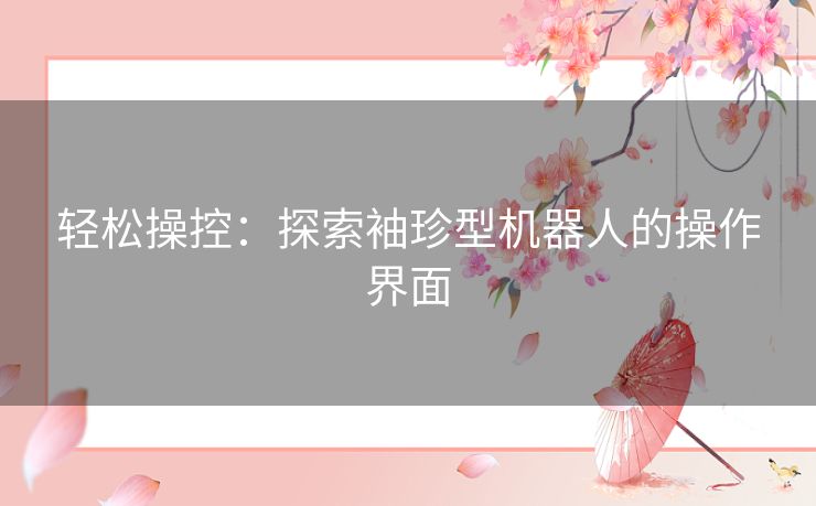 轻松操控：探索袖珍型机器人的操作界面