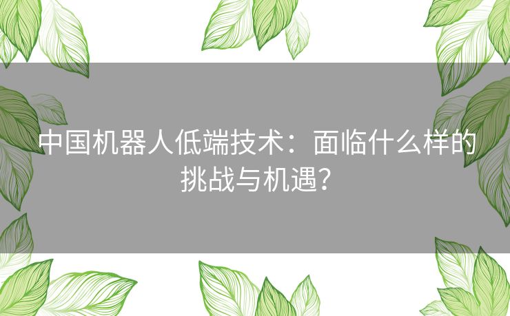 中国机器人低端技术：面临什么样的挑战与机遇？