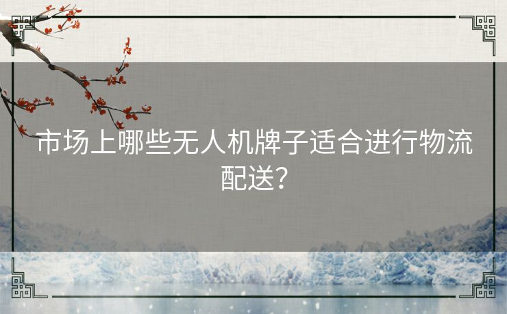 市场上哪些无人机牌子适合进行物流配送？