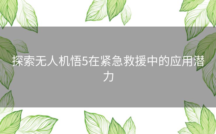 探索无人机悟5在紧急救援中的应用潜力