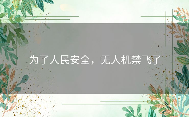 为了人民安全，无人机禁飞了