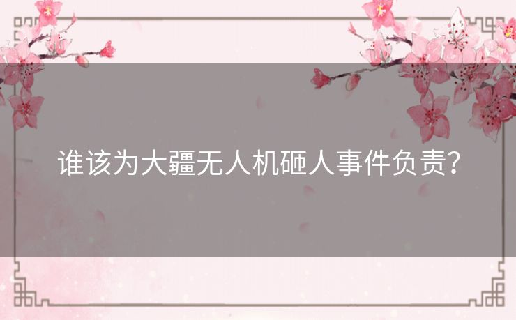 谁该为大疆无人机砸人事件负责？