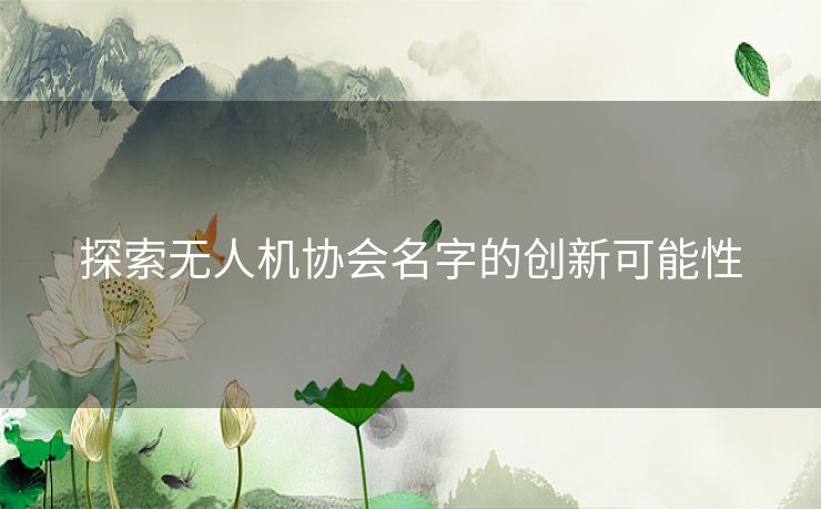 探索无人机协会名字的创新可能性