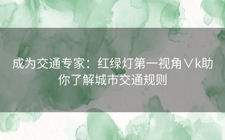 成为交通专家：红绿灯第一视角∨k助你了解城市交通规则