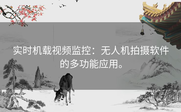 实时机载视频监控：无人机拍摄软件的多功能应用。