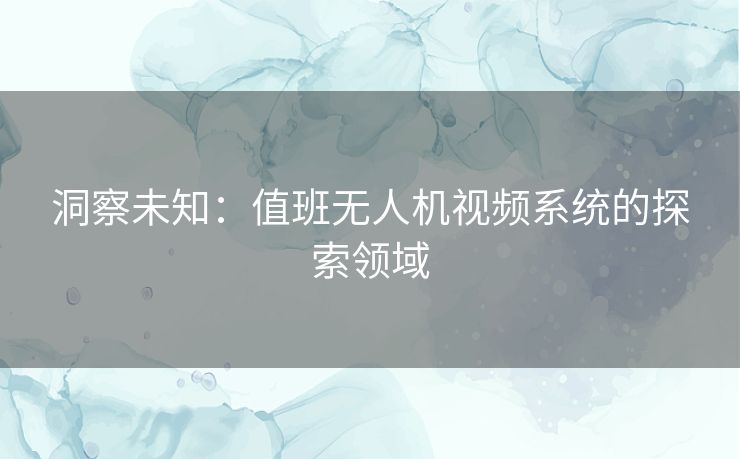 洞察未知：值班无人机视频系统的探索领域