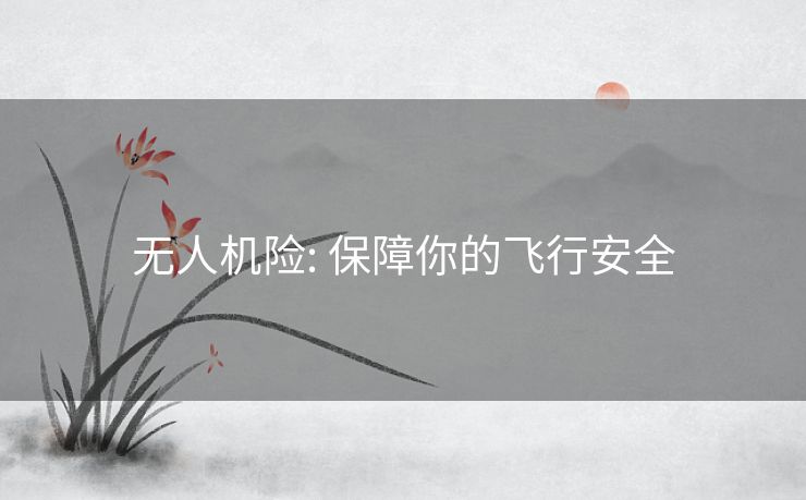 无人机险: 保障你的飞行安全