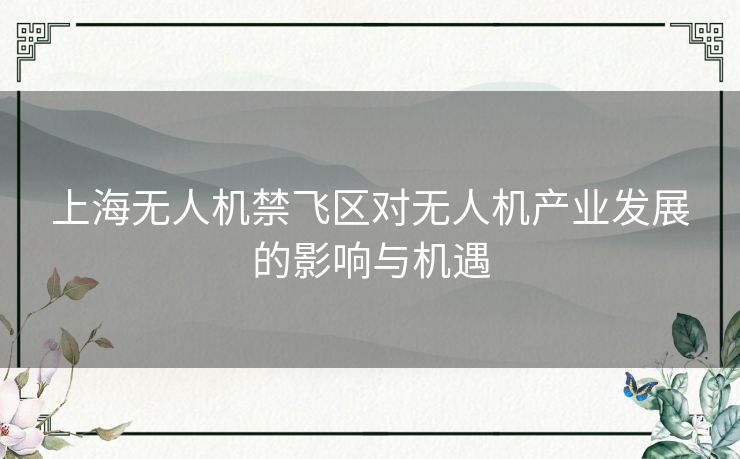 上海无人机禁飞区对无人机产业发展的影响与机遇