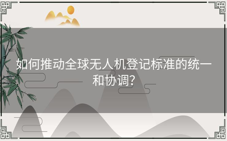 如何推动全球无人机登记标准的统一和协调？