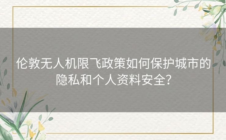 伦敦无人机限飞政策如何保护城市的隐私和个人资料安全？