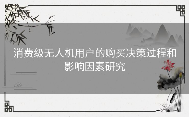 消费级无人机用户的购买决策过程和影响因素研究