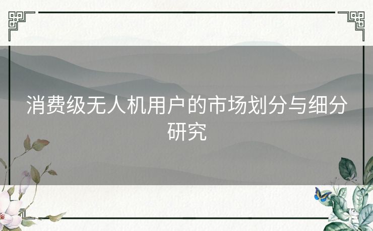 消费级无人机用户的市场划分与细分研究