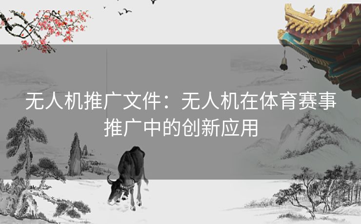 无人机推广文件：无人机在体育赛事推广中的创新应用