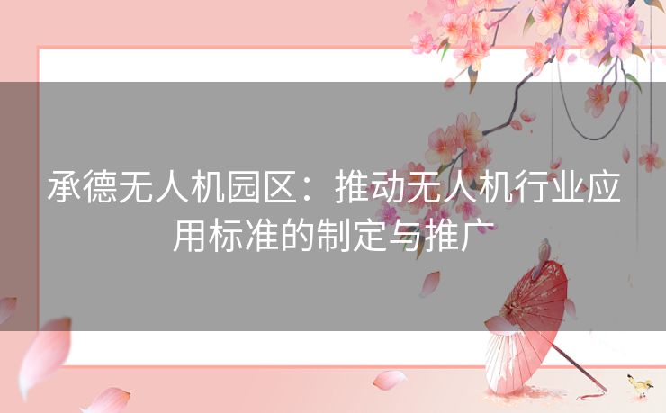 承德无人机园区：推动无人机行业应用标准的制定与推广