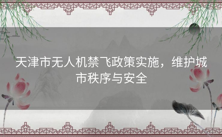 天津市无人机禁飞政策实施，维护城市秩序与安全