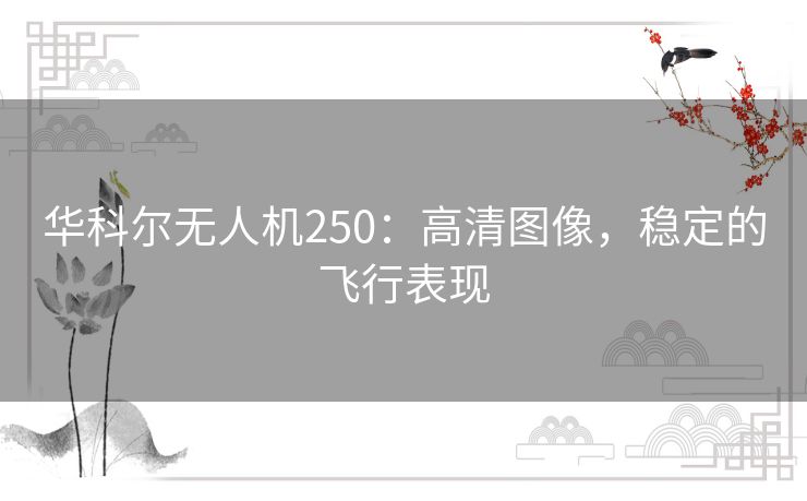 华科尔无人机250：高清图像，稳定的飞行表现