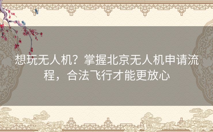 想玩无人机？掌握北京无人机申请流程，合法飞行才能更放心