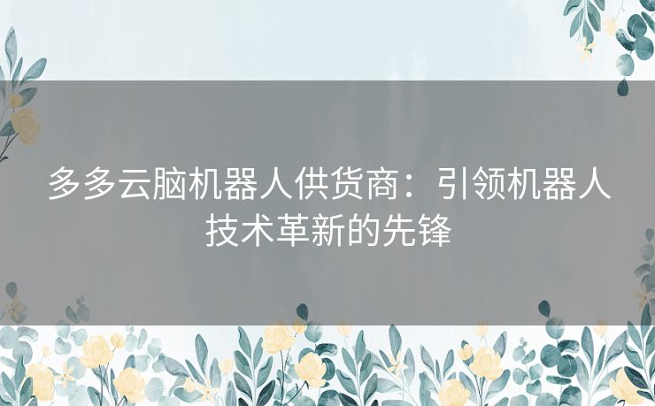 多多云脑机器人供货商：引领机器人技术革新的先锋