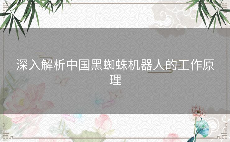 深入解析中国黑蜘蛛机器人的工作原理