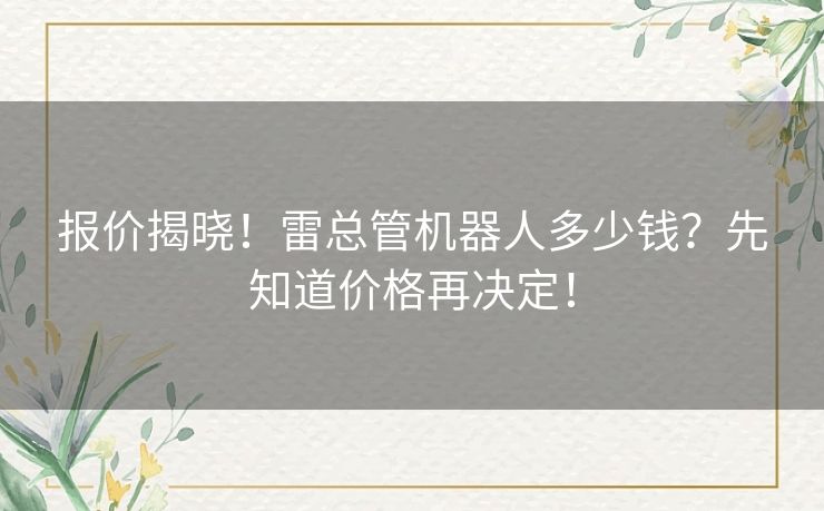 报价揭晓！雷总管机器人多少钱？先知道价格再决定！