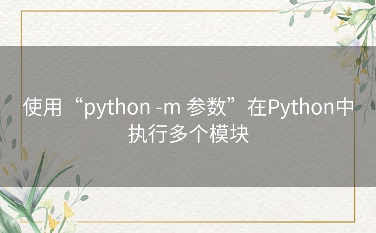 使用“python -m 参数”在Python中执行多个模块