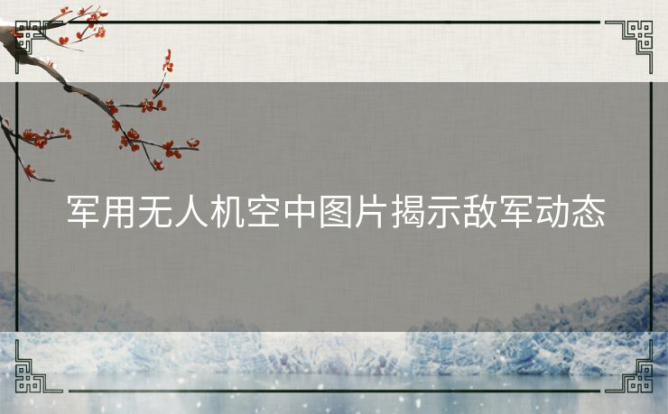 军用无人机空中图片揭示敌军动态