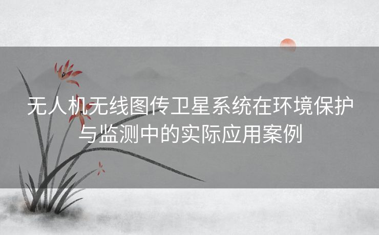 无人机无线图传卫星系统在环境保护与监测中的实际应用案例