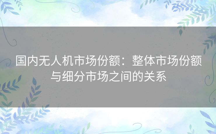 国内无人机市场份额：整体市场份额与细分市场之间的关系