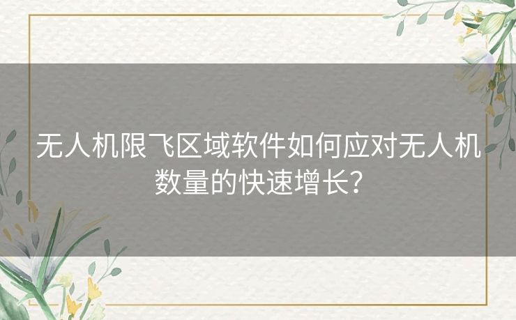 无人机限飞区域软件如何应对无人机数量的快速增长？