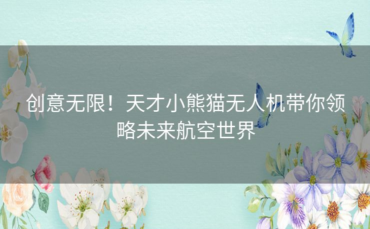 创意无限！天才小熊猫无人机带你领略未来航空世界