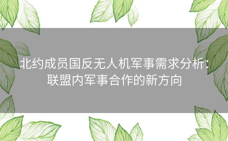 北约成员国反无人机军事需求分析：联盟内军事合作的新方向