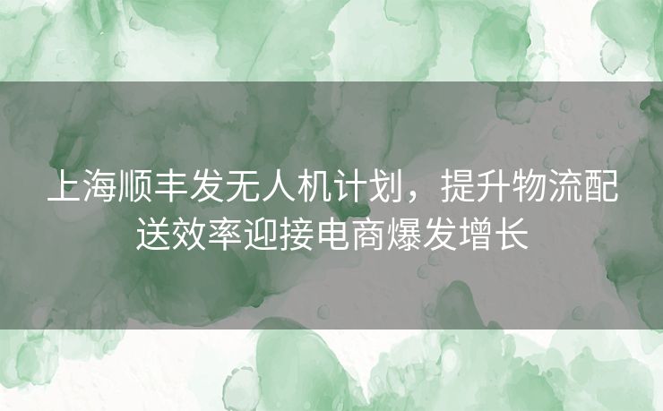 上海顺丰发无人机计划，提升物流配送效率迎接电商爆发增长