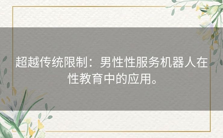 超越传统限制：男性性服务机器人在性教育中的应用。