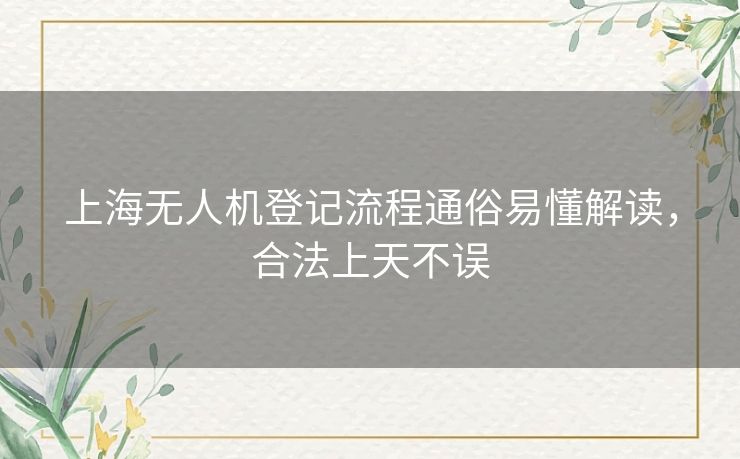 上海无人机登记流程通俗易懂解读，合法上天不误