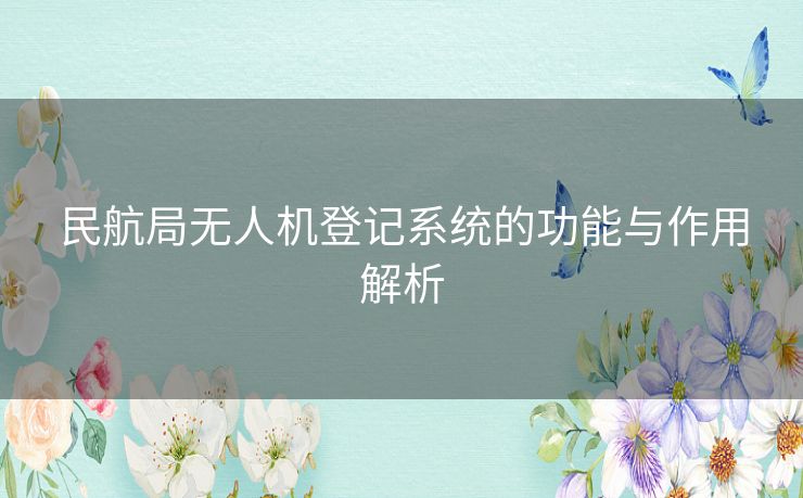 民航局无人机登记系统的功能与作用解析