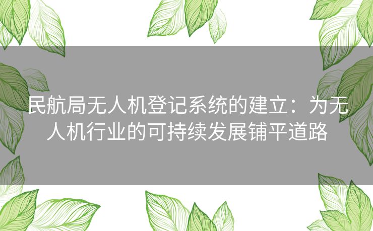 民航局无人机登记系统的建立：为无人机行业的可持续发展铺平道路