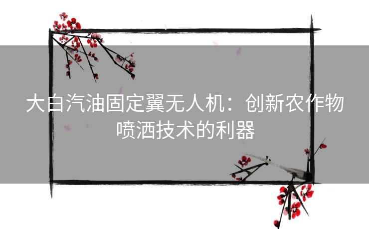 大白汽油固定翼无人机：创新农作物喷洒技术的利器