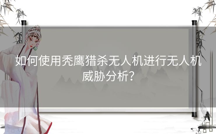 如何使用秃鹰猎杀无人机进行无人机威胁分析？