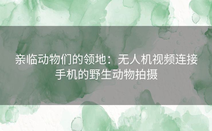 亲临动物们的领地：无人机视频连接手机的野生动物拍摄