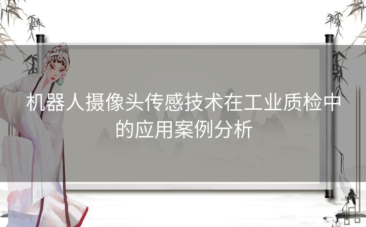 机器人摄像头传感技术在工业质检中的应用案例分析