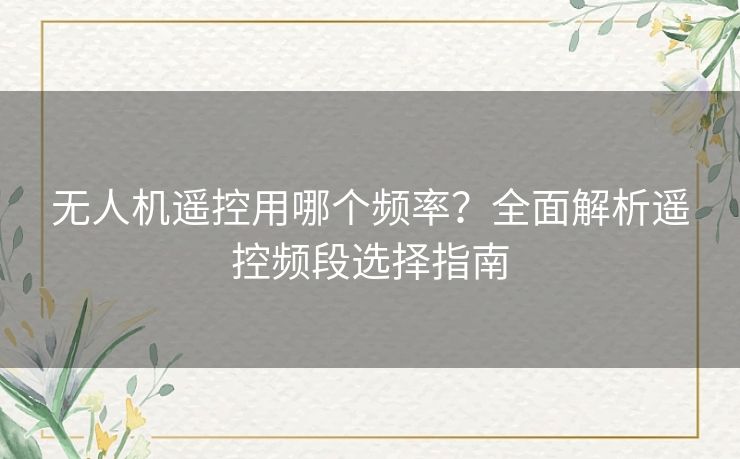 无人机遥控用哪个频率？全面解析遥控频段选择指南