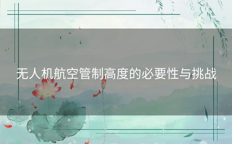 无人机航空管制高度的必要性与挑战