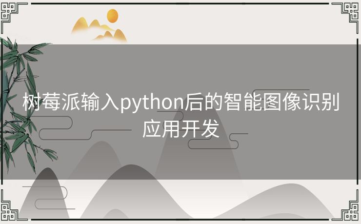 树莓派输入python后的智能图像识别应用开发