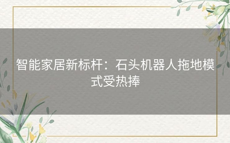 智能家居新标杆：石头机器人拖地模式受热捧